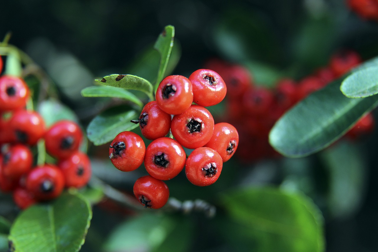 谈判等高层 谈判等高层