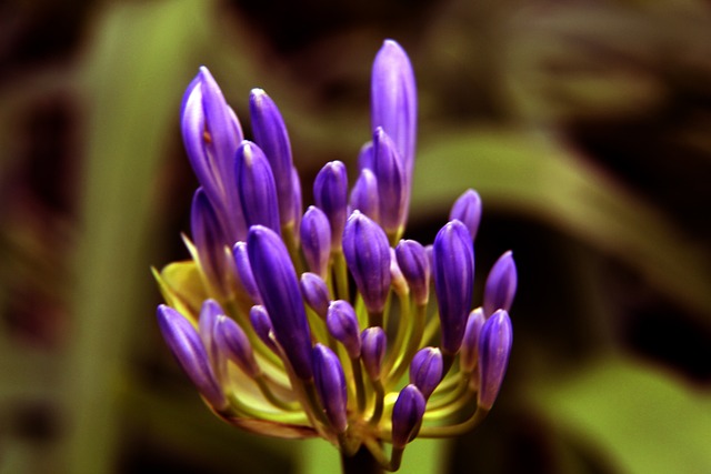 动员的技术 动员的技术