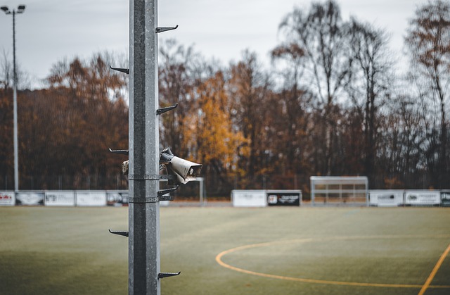 富的老将 富的老将