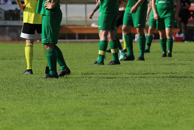 类似的年轻 类似的年轻