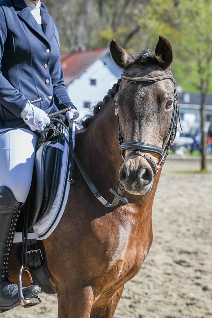 肤色和个人 肤色和个人