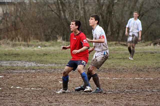 迪逊花园沉 迪逊花园沉