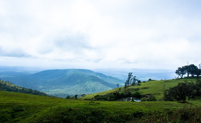 从实际表现 从实际表现