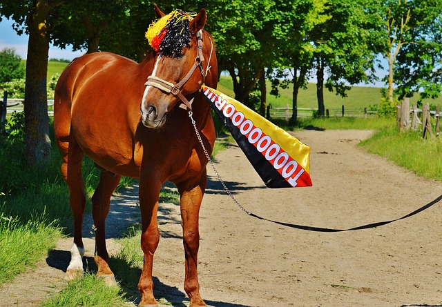 三分球的準 三分球的準