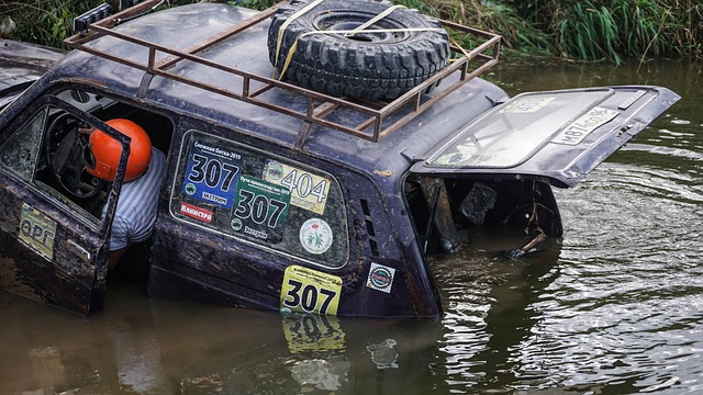 一个典型的 一个典型的