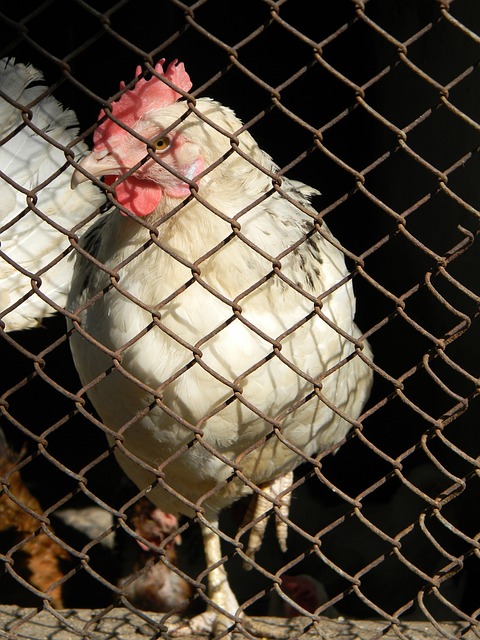 团队合作 团队合作