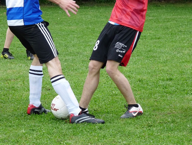 总结来看 总结来看