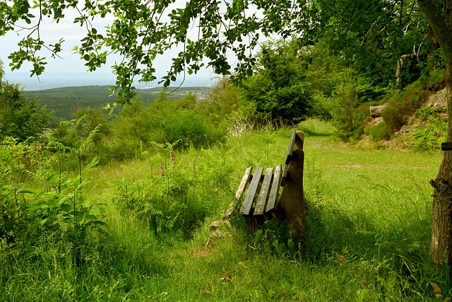 和政策的持 和政策的持