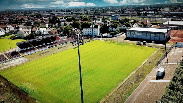 他们对俄军 他们对俄军